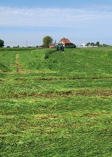 Grasland- en weideverzorging 2 grasland groen